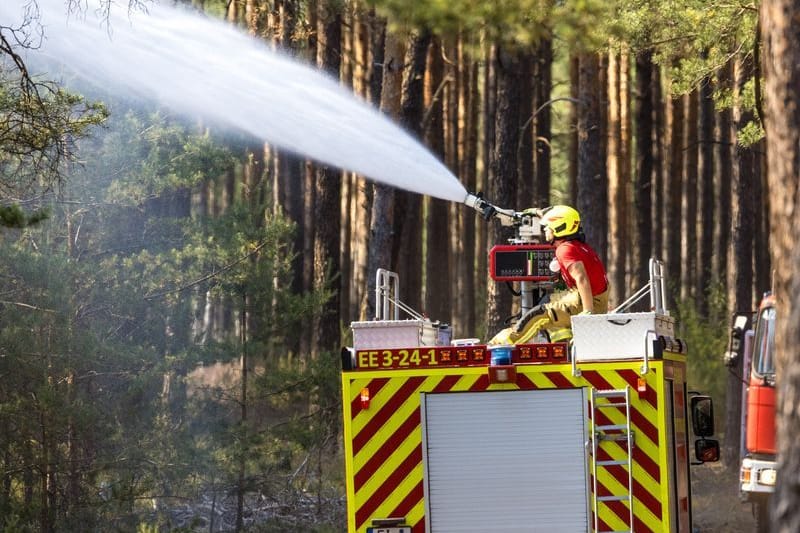 Sonnewalde: Im südbrandenburgischen Elbe-Elster-Kreis ist ein großflächiger Waldbrand ausgebrochen.