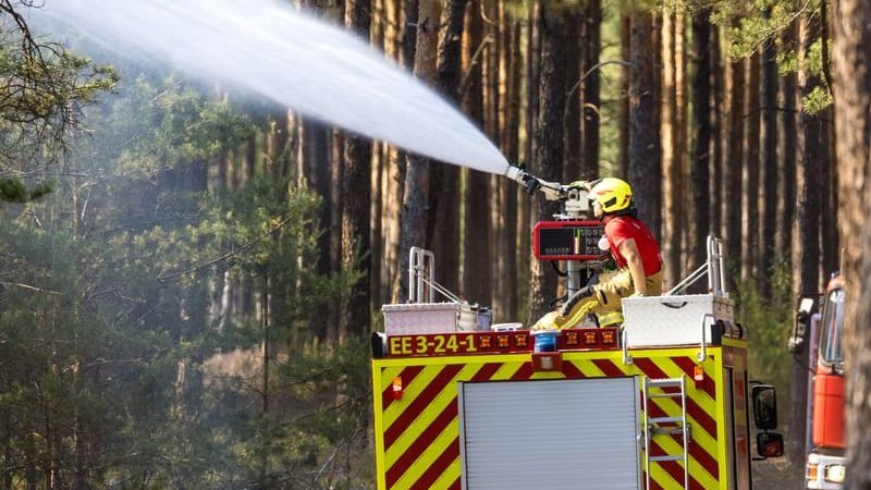 Sonnewalde: Im südbrandenburgischen Elbe-Elster-Kreis ist ein großflächiger Waldbrand ausgebrochen.