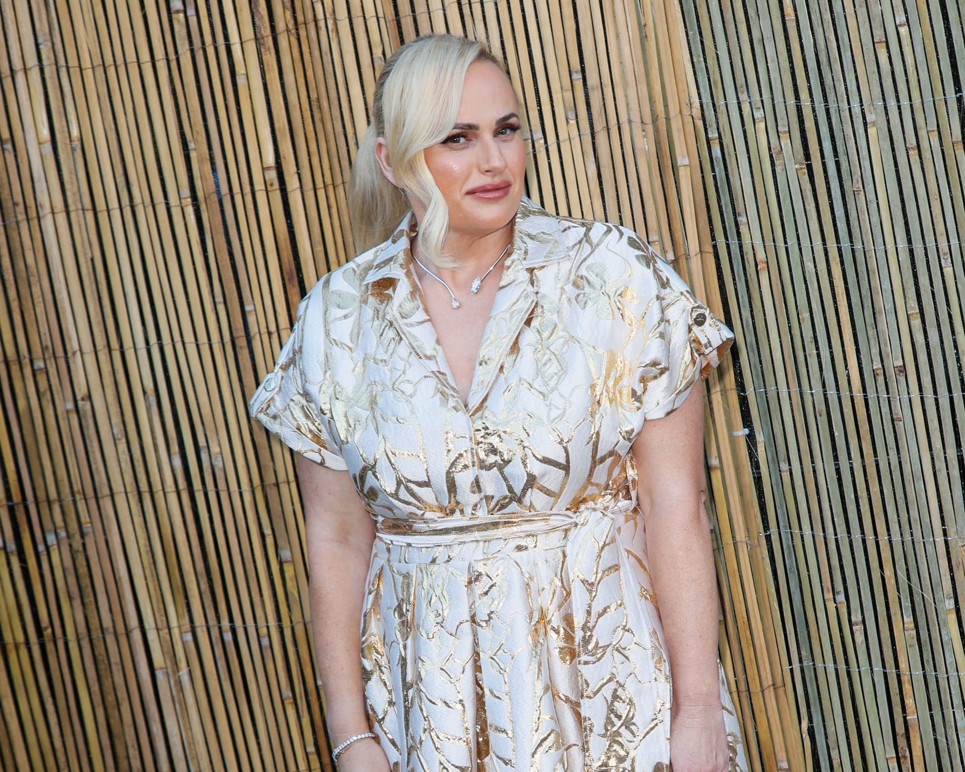 Rebel Wilson: 2025. Rebel Wilson: 2025.