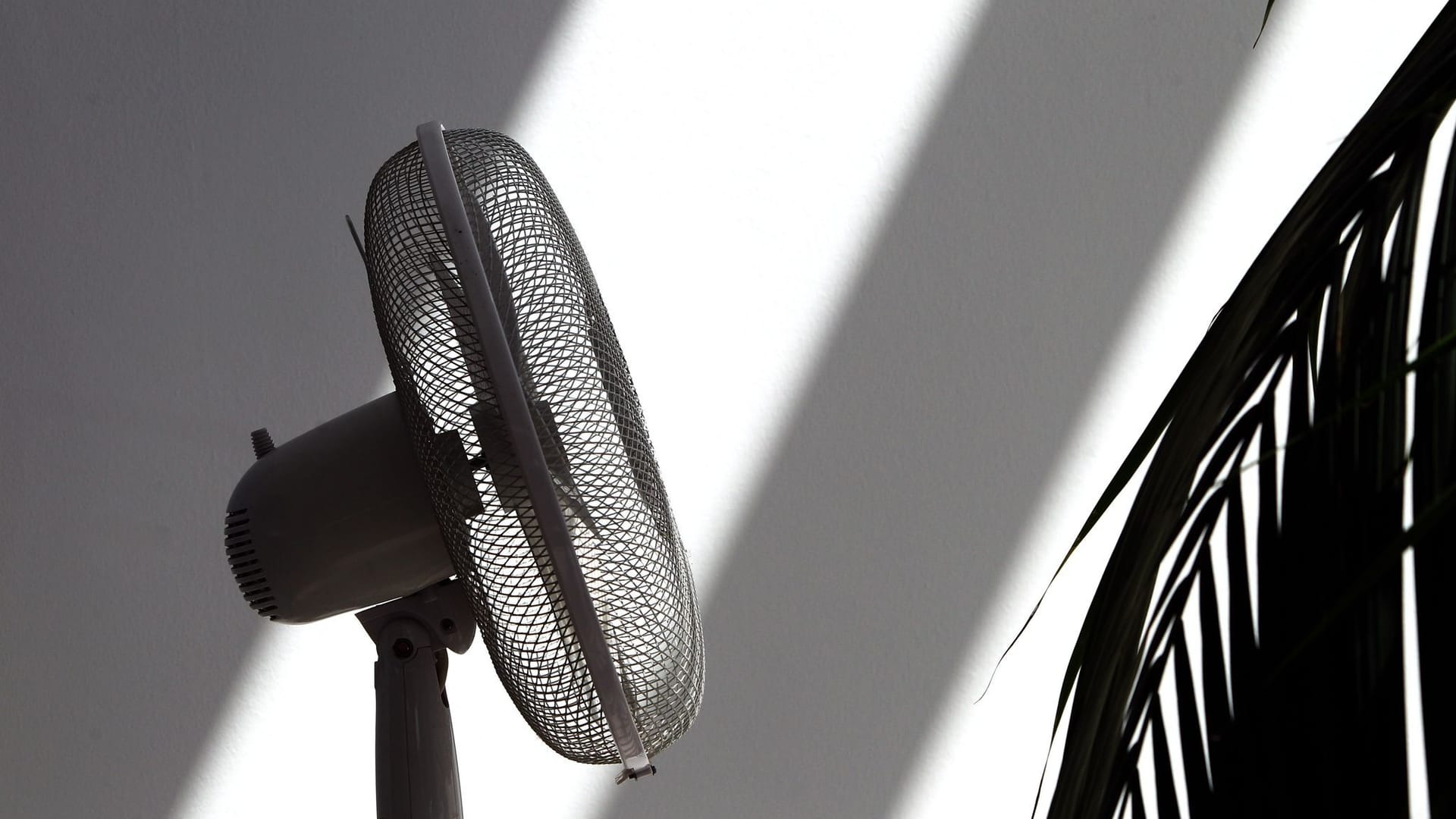 Ein Ventilator in einem Zimmer