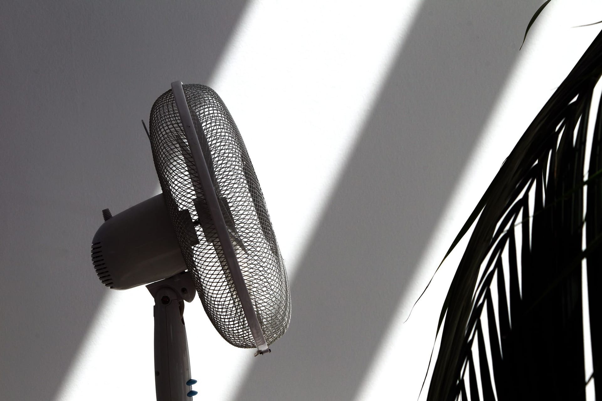 Ein Ventilator in einem Zimmer