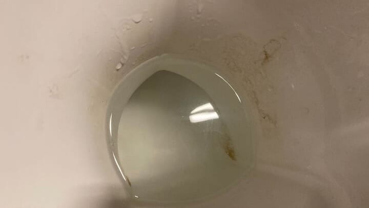 Ende der Einwirkzeit: Nach dem Spülen sind Ablagerungen in der Toilette dunkel verfärbt.