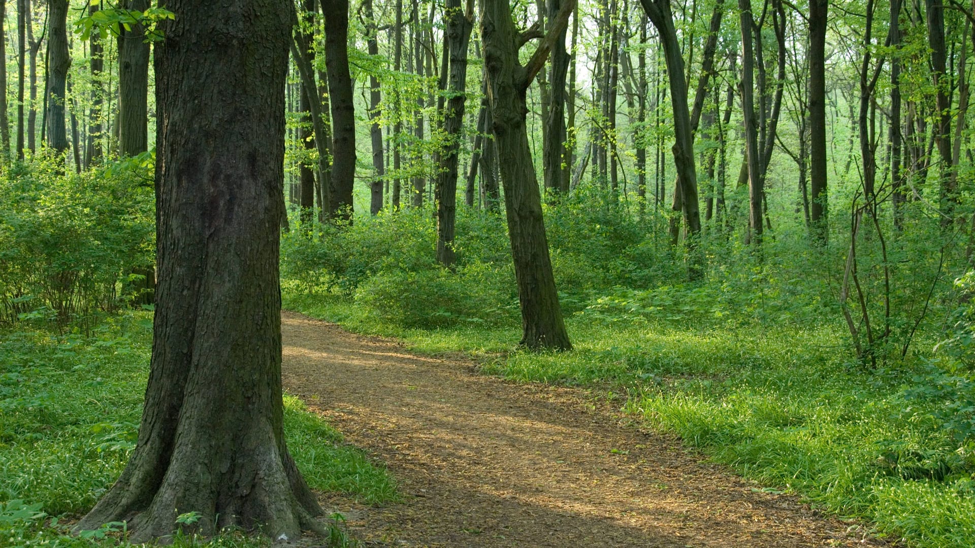 imago images 100764582 imago images 100764582