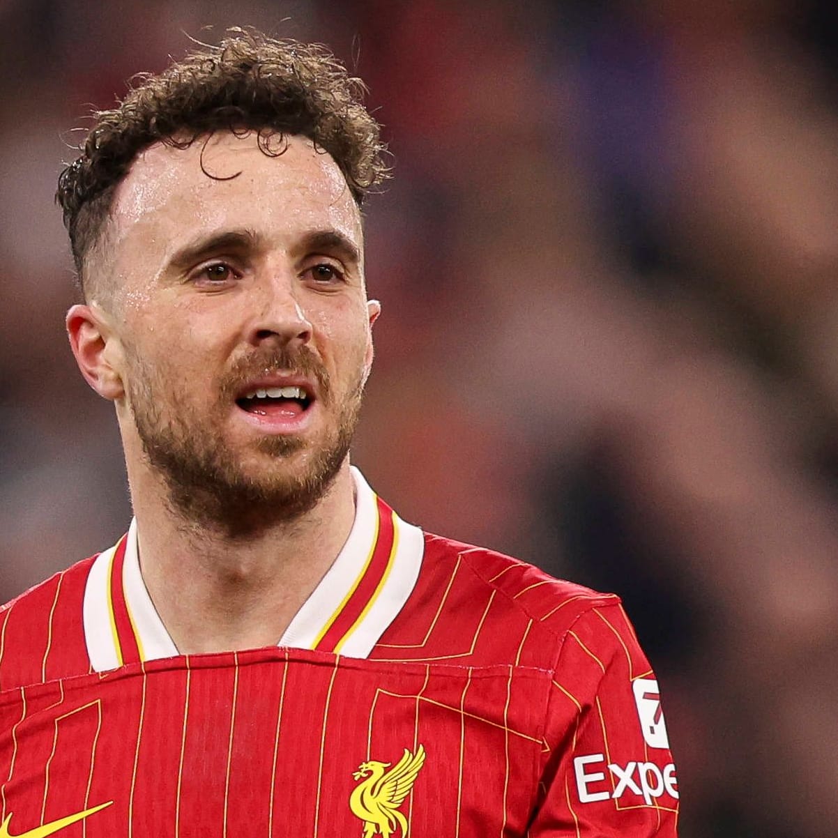 Diogo Jota: Er kam 2020 zum FC Liverpool.