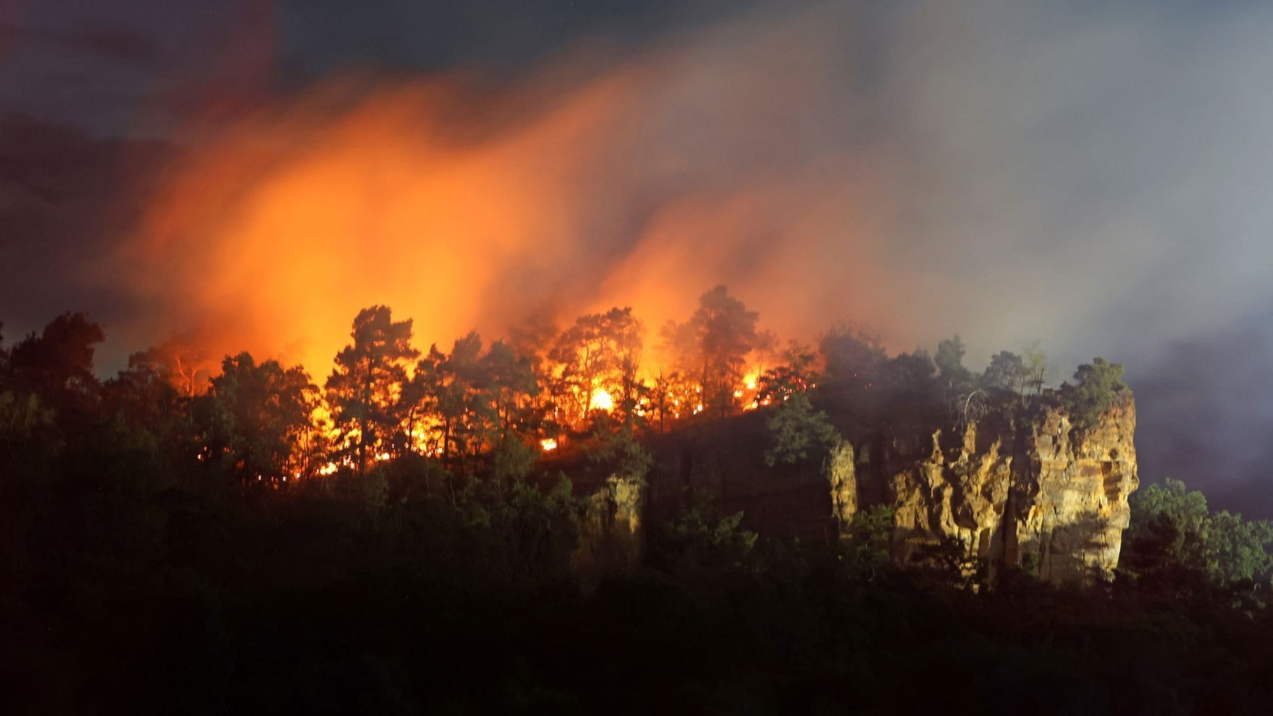 Waldbrand in Quedlinburg