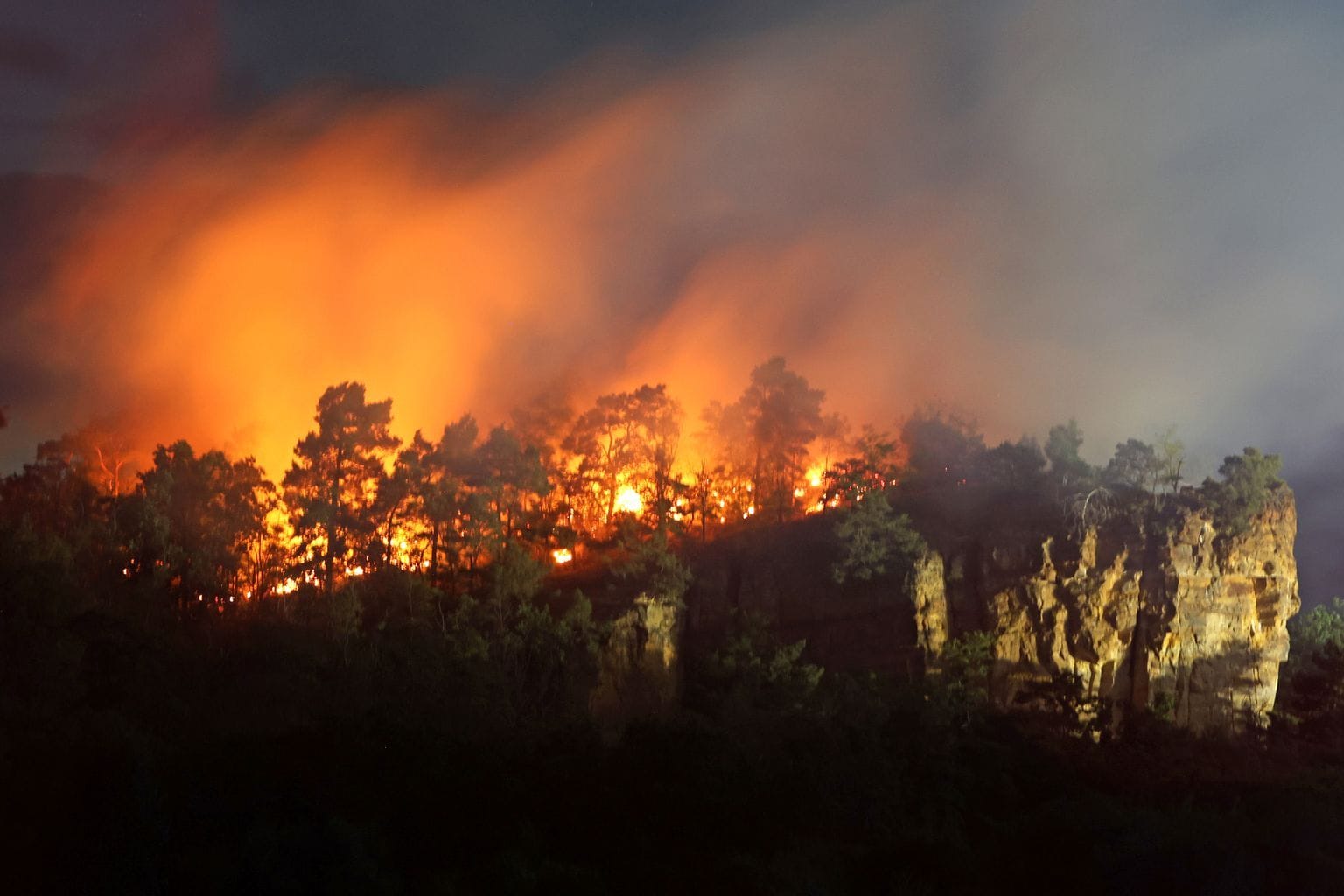 Waldbrand in Quedlinburg