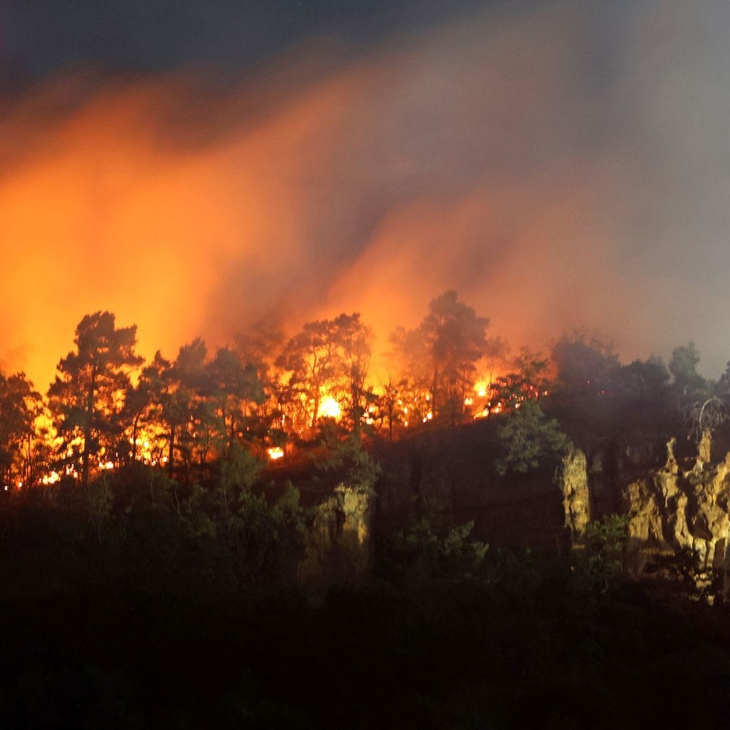 Waldbrand in Quedlinburg