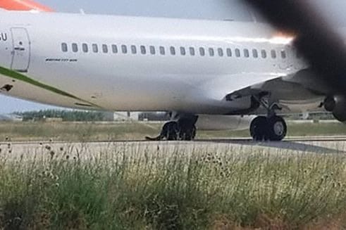 Die Boeing 737-800 mit dem Kennzeichen OK-TSU von Germanwings: Statt auf Kos landete der Flieger auf Rhodos.
