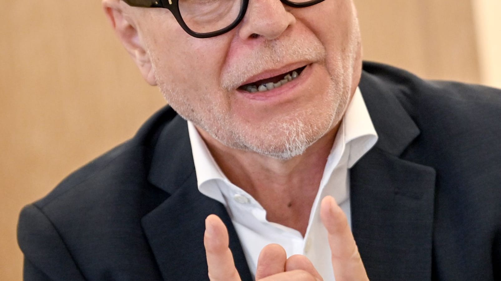 Di Fabio: Zeit für ein AfD-Verbot noch nicht reif Di Fabio: Zeit für ein AfD-Verbot noch nicht reif