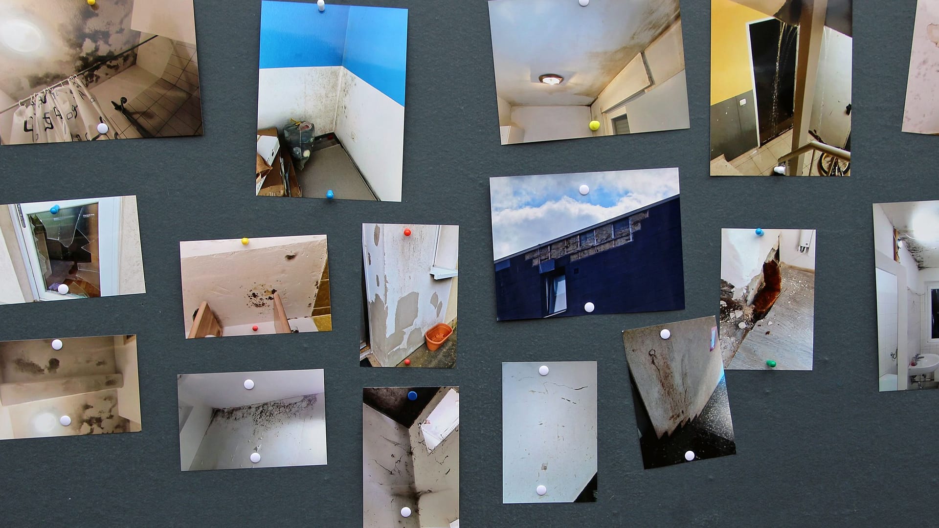 Schimmel, Rohrbrüche, Kot an den Wänden: Die Mieter haben Fotos von den Zuständen in ihren Häusern mitgebracht.