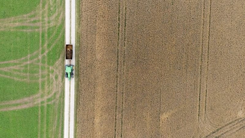 Ein Traktor fährt neben einem Feld mit Gerste entlang (Aufnahme mit einer Drohne).