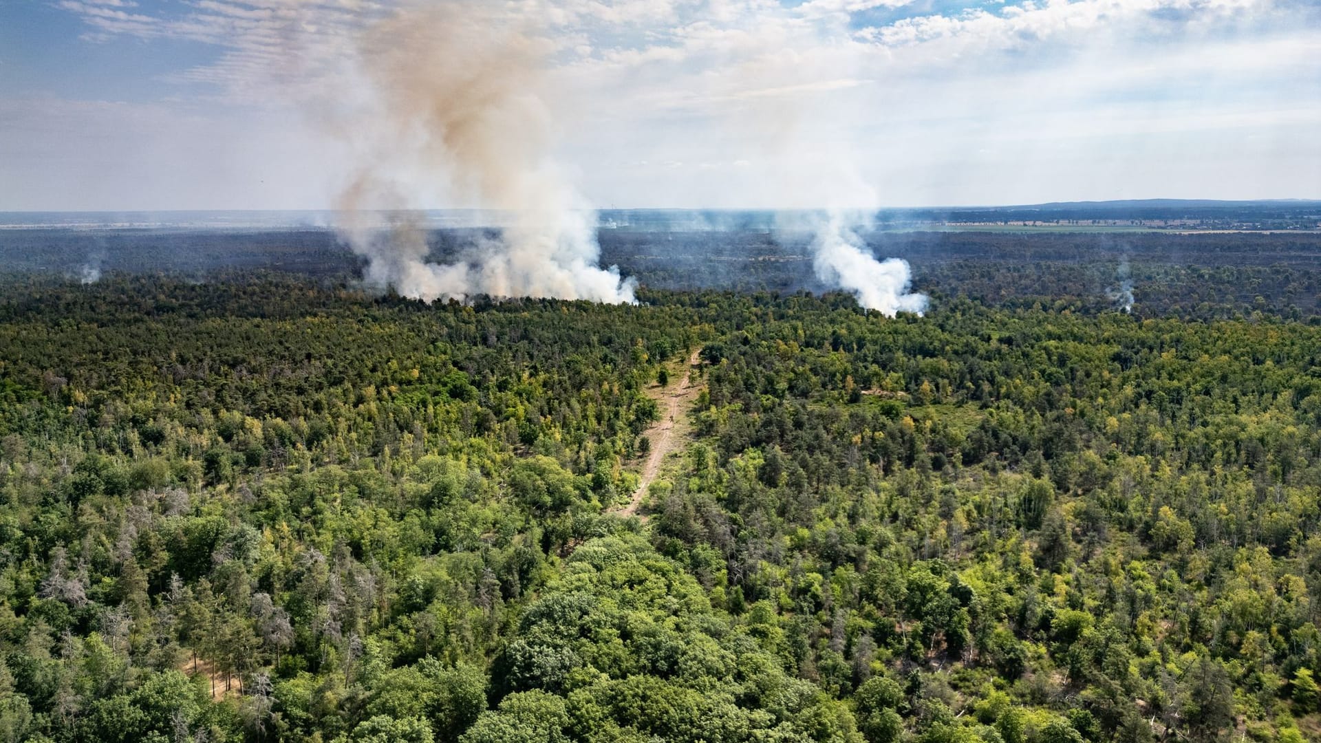 Waldbrand in der Gohrischheide