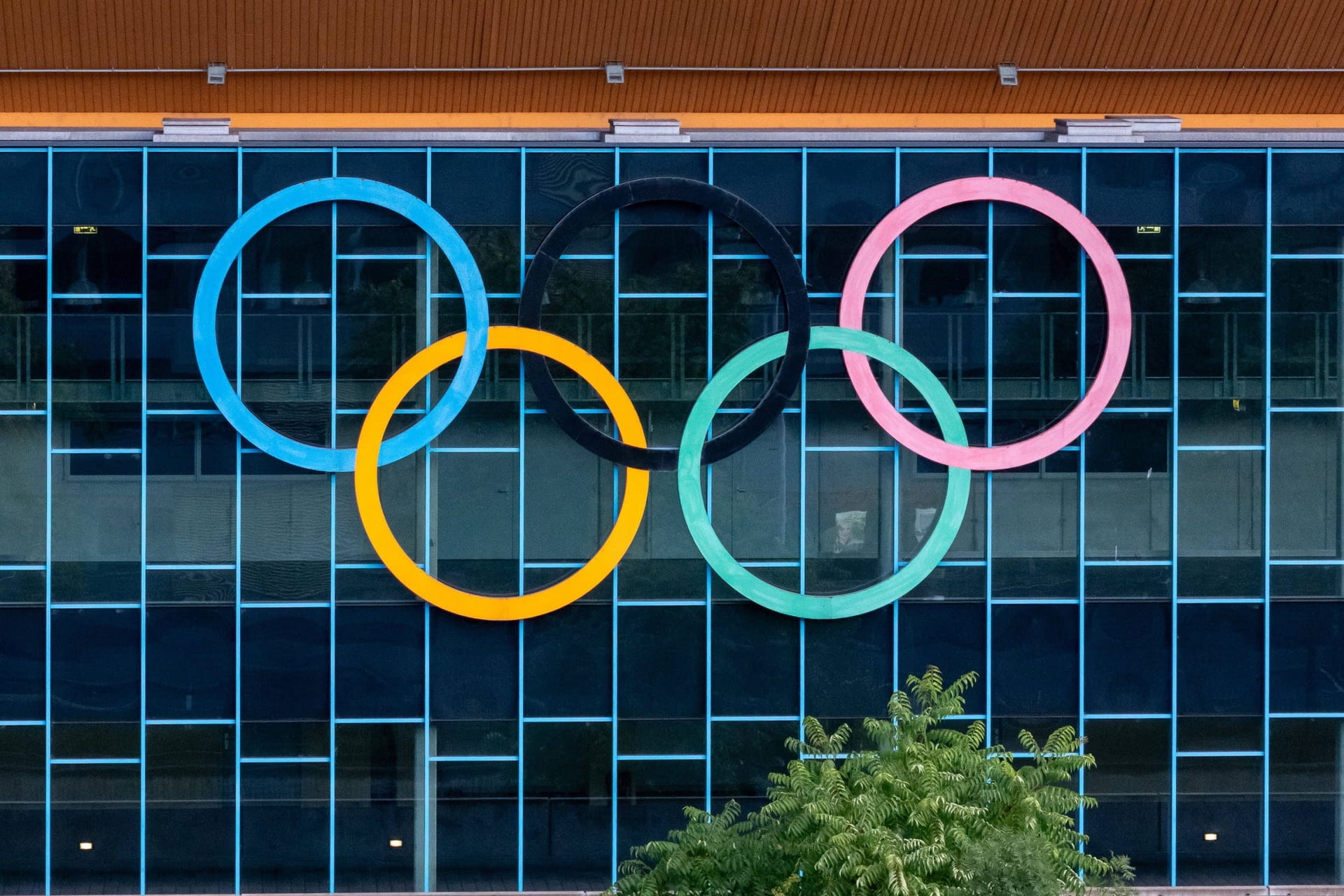Die Olympischen Ringe: Sind sie 2036 in Katar zu sehen?