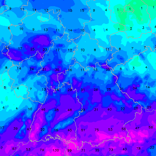 Prognosekarte des Wettermodells Icon: Im Süden wird es besonders nass.