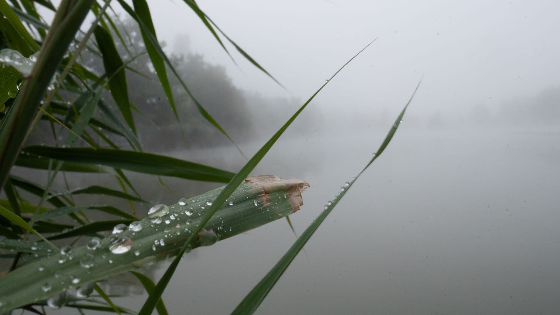 Wetter in Baden-Württemberg