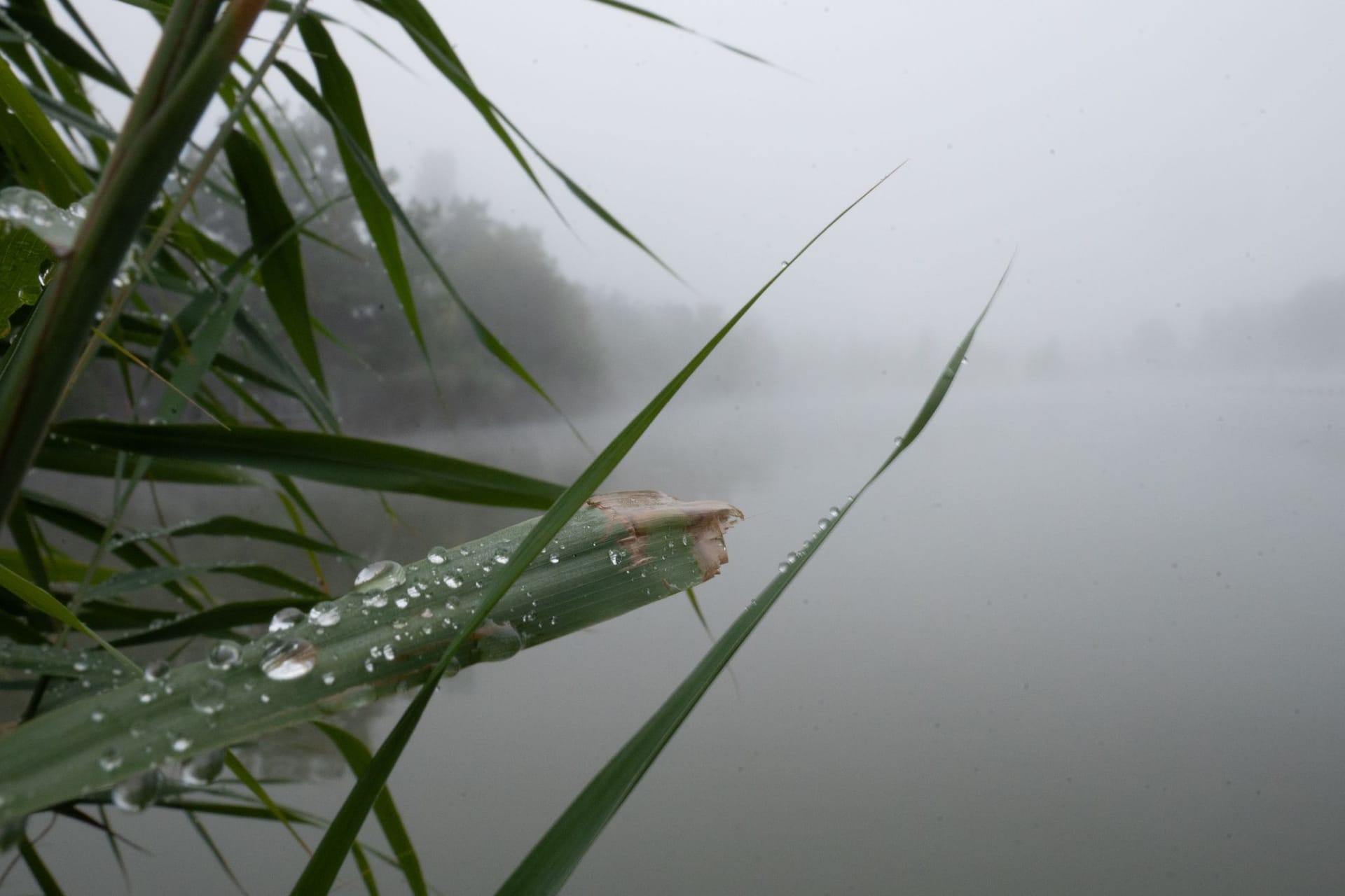 Wetter in Baden-Württemberg