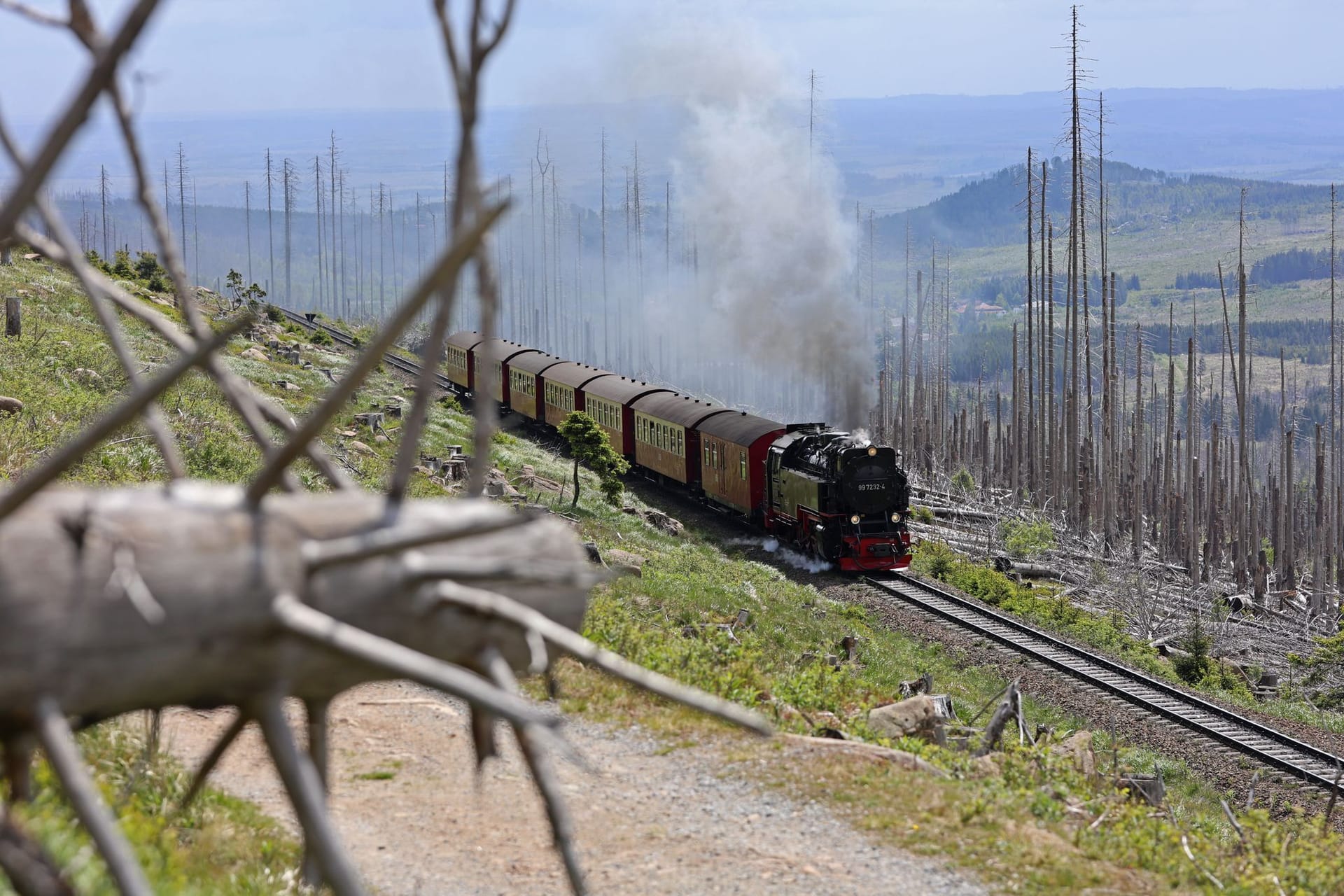 Ein Zug fährt mit einer Dampflok bespannt auf den Brocken: Die Waldbrandgefahrenstufe wurde wieder herabgesetzt.