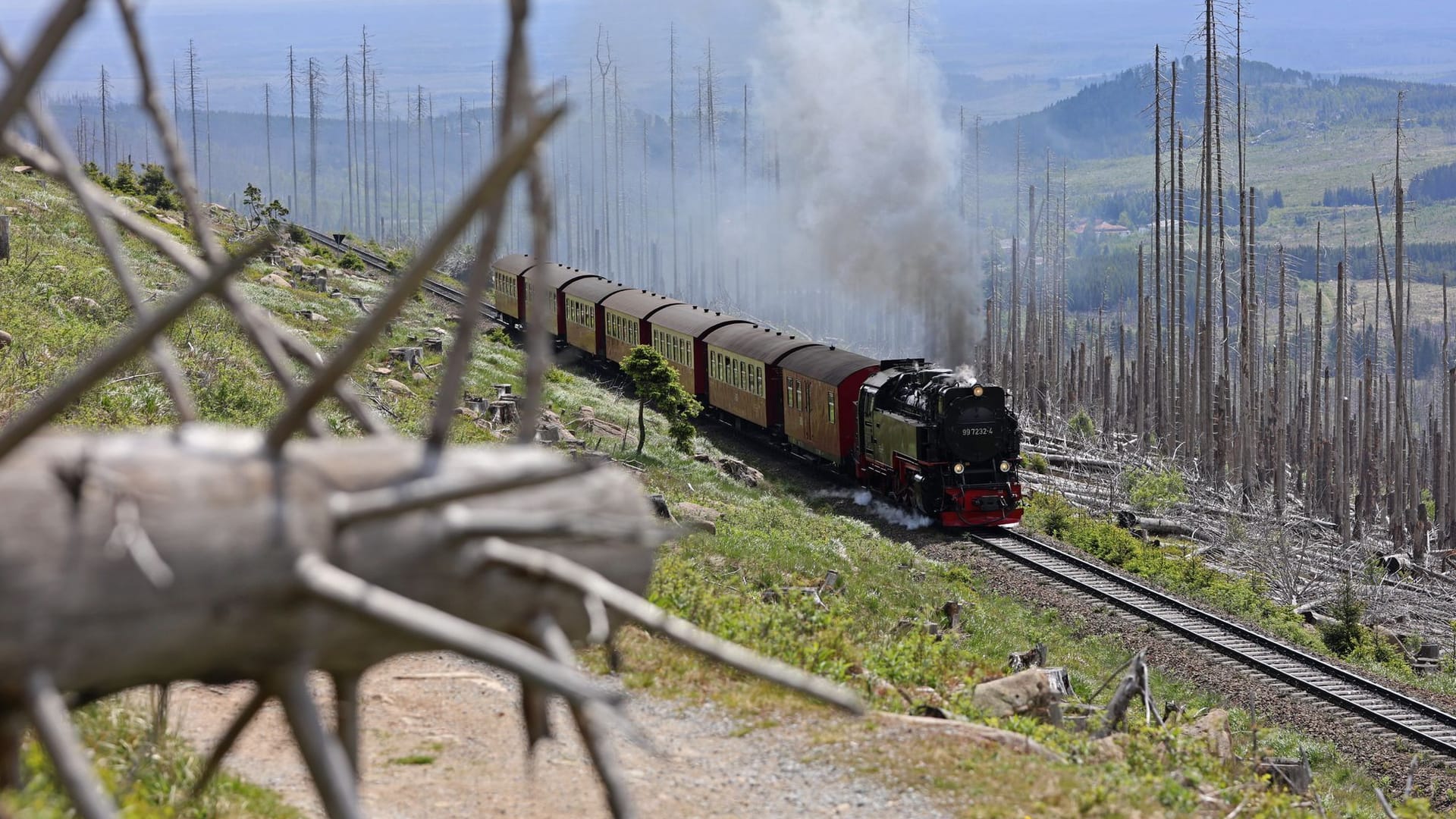 Ein Zug fährt mit einer Dampflok bespannt auf den Brocken: Die Waldbrandgefahrenstufe wurde wieder herabgesetzt. Ein Zug fährt mit einer Dampflok bespannt auf den Brocken: Die Waldbrandgefahrenstufe wurde wieder herabgesetzt.