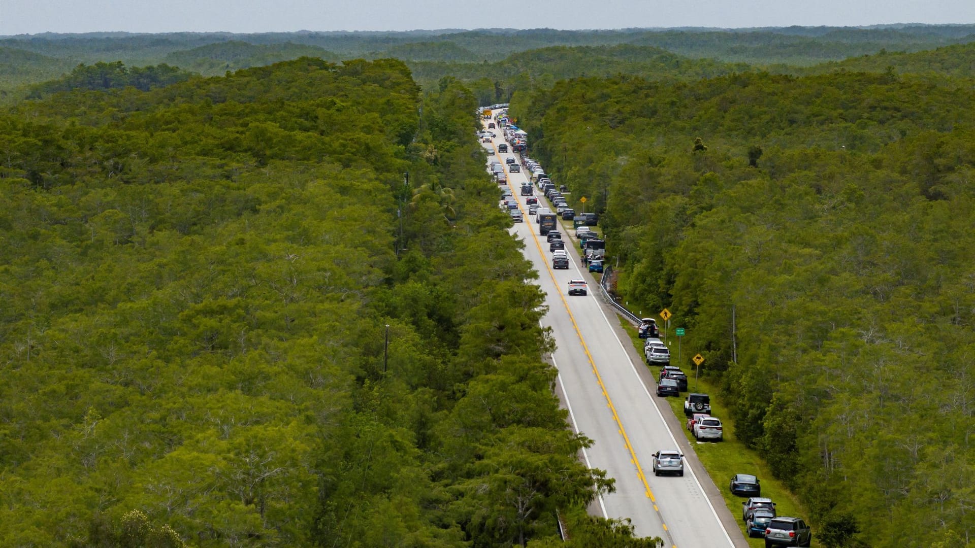 People protest against the development of "Alligator Alcatraz" in Everglades