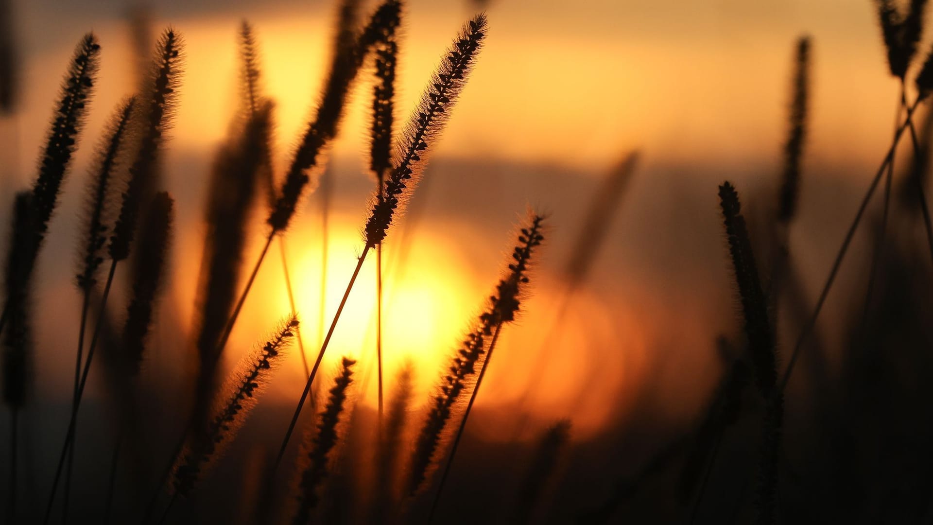 Sonnenaufgang Sonnenaufgang