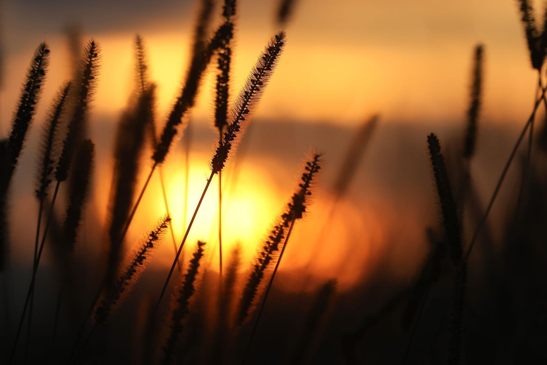 Sonnenaufgang