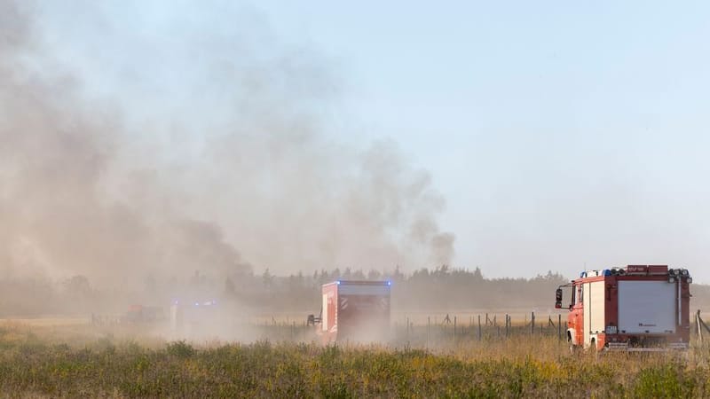 Feuer in der Gohrischheide zwischen dem sächsischen Ort Zeithain und dem brandenburgischen Herzberg: Einsatzkräfte fahren in das Brandgebiet hinein.