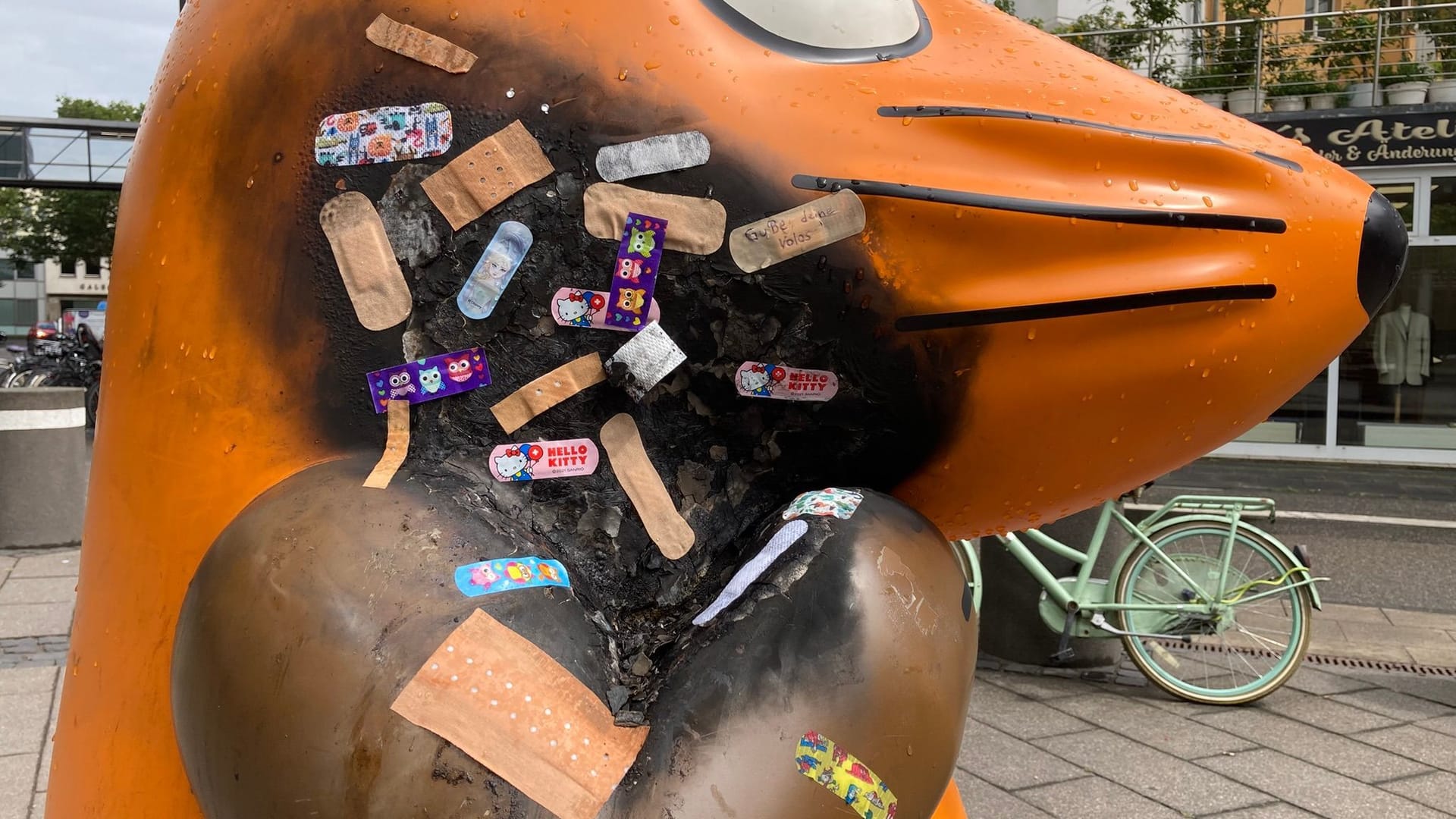 Pflaster für die Maus