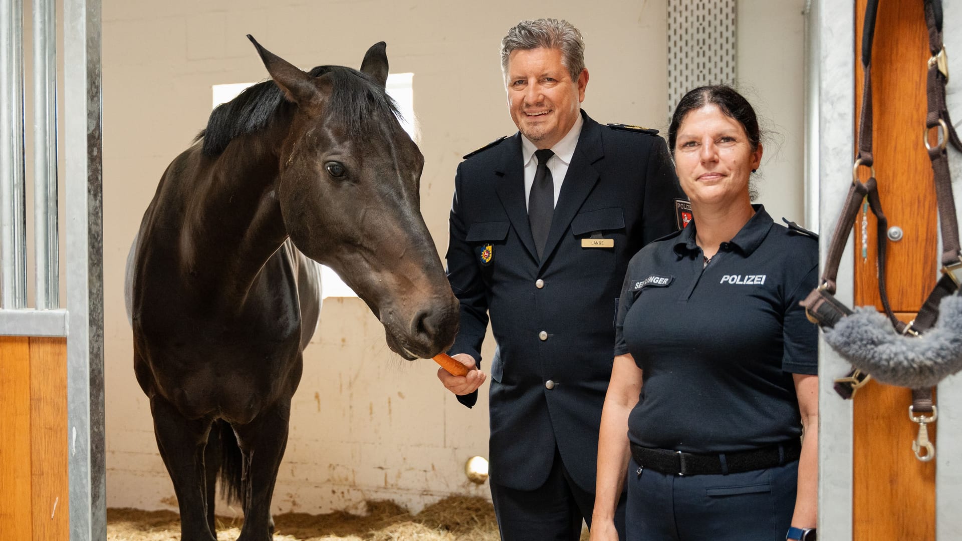 Uwe Lange, Polizeivizepräsident der Polizeidirektion Braunschweig, gemeinsam mit Nadine Seitlinger, Leiterin des Reiterzuges, und dem Dienstpferd Odin.