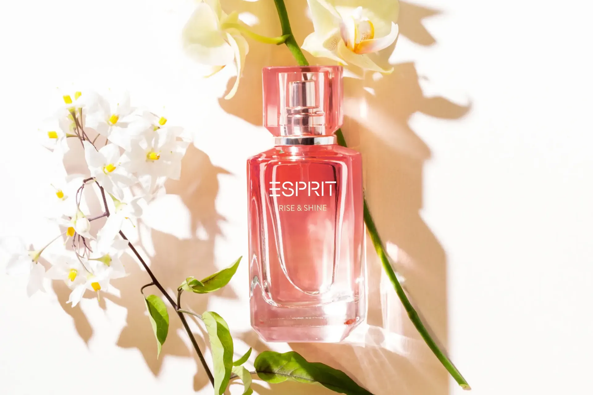 Esprit Rise and Shine: Ein dezenter Duft in handlichem Flakon für den Alltag.