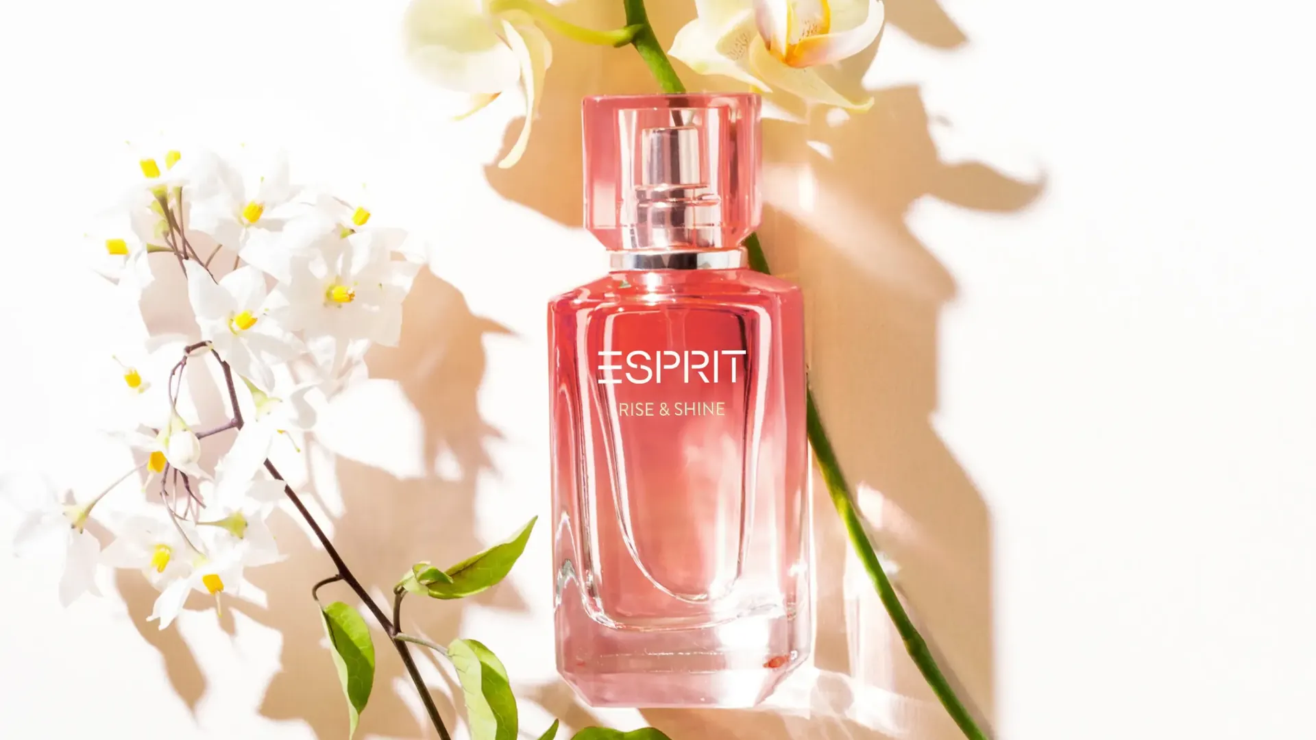 Esprit Rise and Shine: Ein dezenter Duft in handlichem Flakon für den Alltag. Esprit Rise and Shine: Ein dezenter Duft in handlichem Flakon für den Alltag.