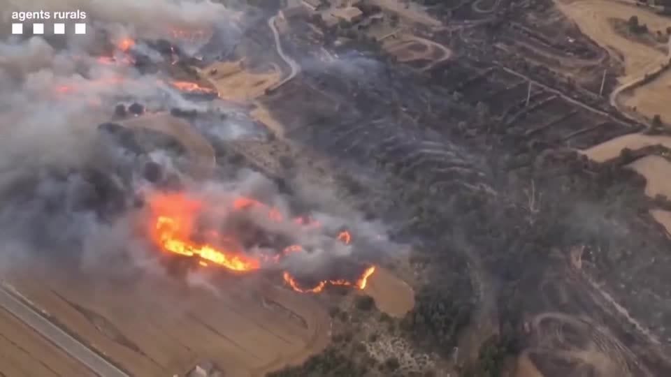 FEUER-SPANIEN/WALD
