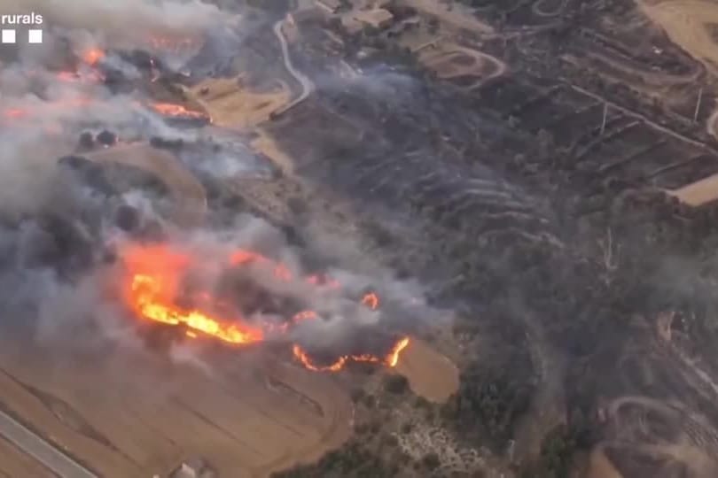 FEUER-SPANIEN/WALD