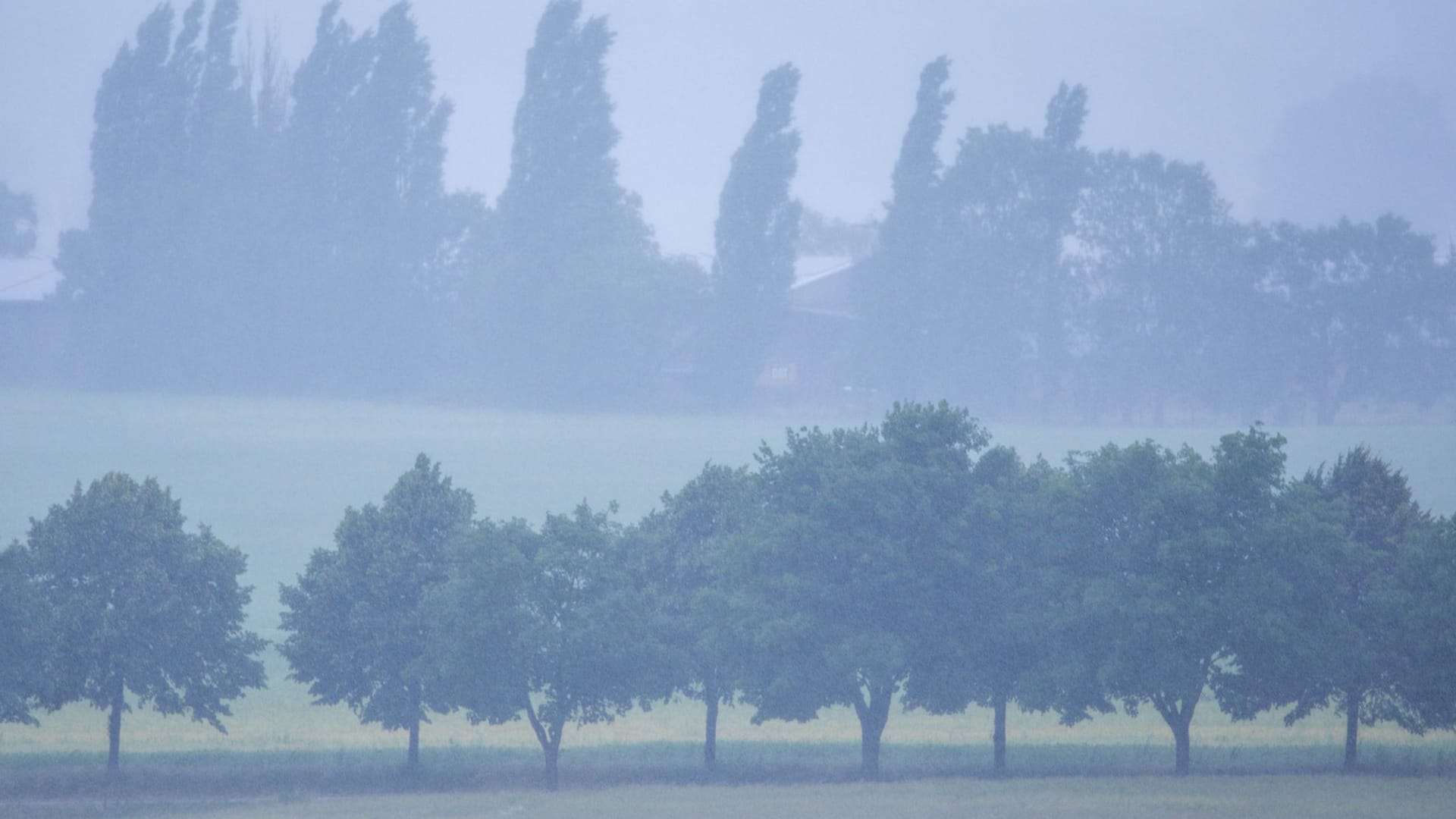 Starkregen in Norddeutschland Starkregen in Norddeutschland