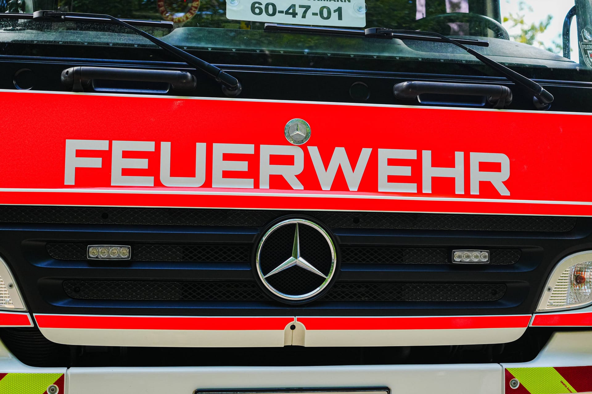 imago images 0830943151