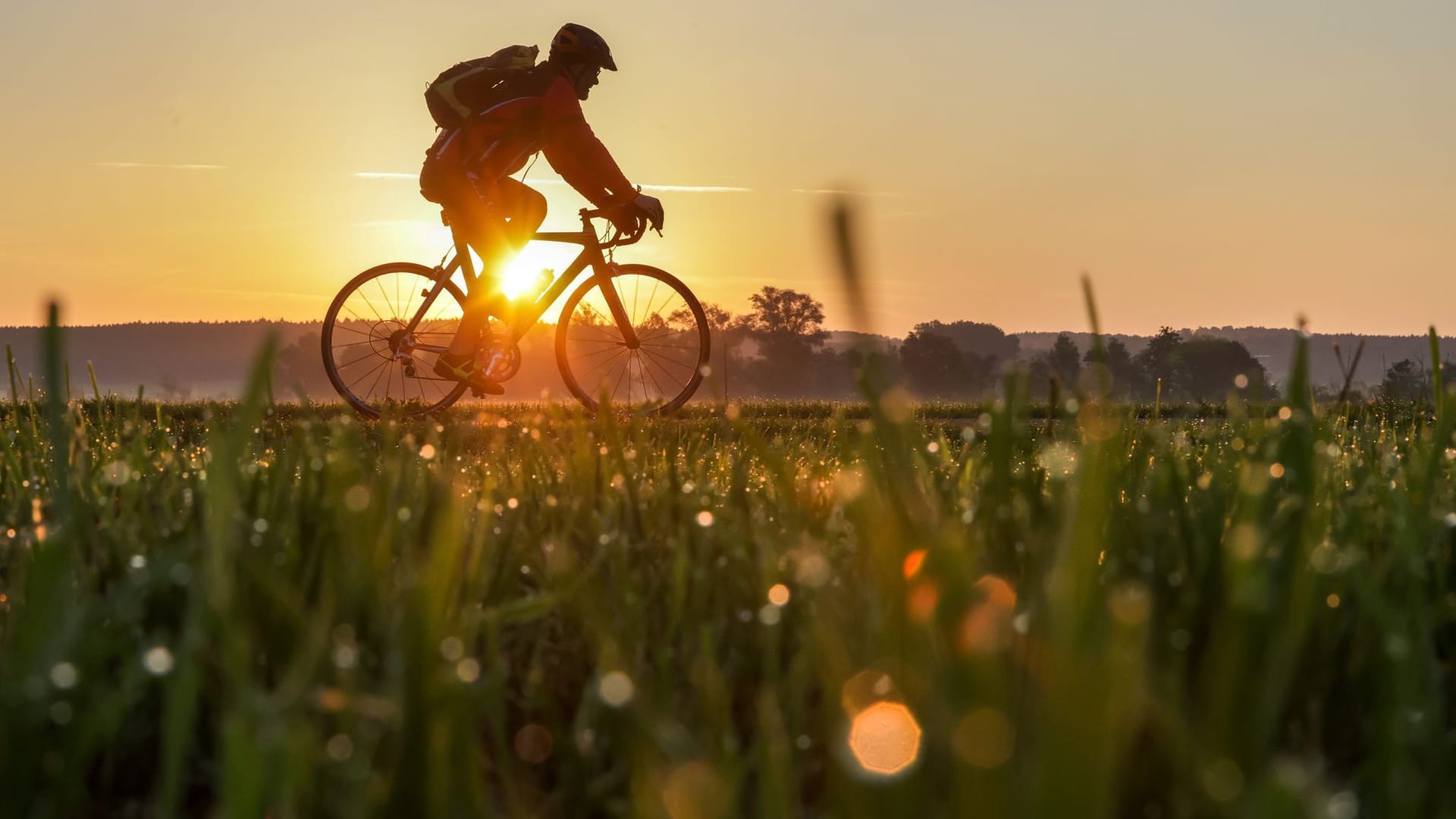 Wetter in Baden-Württemberg