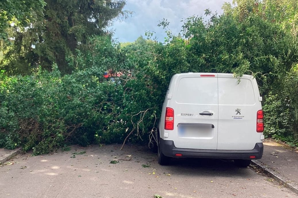 Ein Baum liegt quer über der Straße und auf einem Auto: Die Feuerwehr München musste zu einem Einsatz mit einem umgestürzten Baum im Stadtteil Lochhausen. Ein Baum liegt quer über der Straße und auf einem Auto: Die Feuerwehr München musste zu einem Einsatz mit einem umgestürzten Baum im Stadtteil Lochhausen.