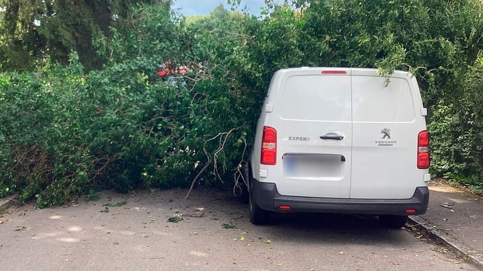 Ein Baum liegt quer über der Straße und auf einem Auto: Die Feuerwehr München musste zu einem Einsatz mit einem umgestürzten Baum im Stadtteil Lochhausen. Ein Baum liegt quer über der Straße und auf einem Auto: Die Feuerwehr München musste zu einem Einsatz mit einem umgestürzten Baum im Stadtteil Lochhausen.