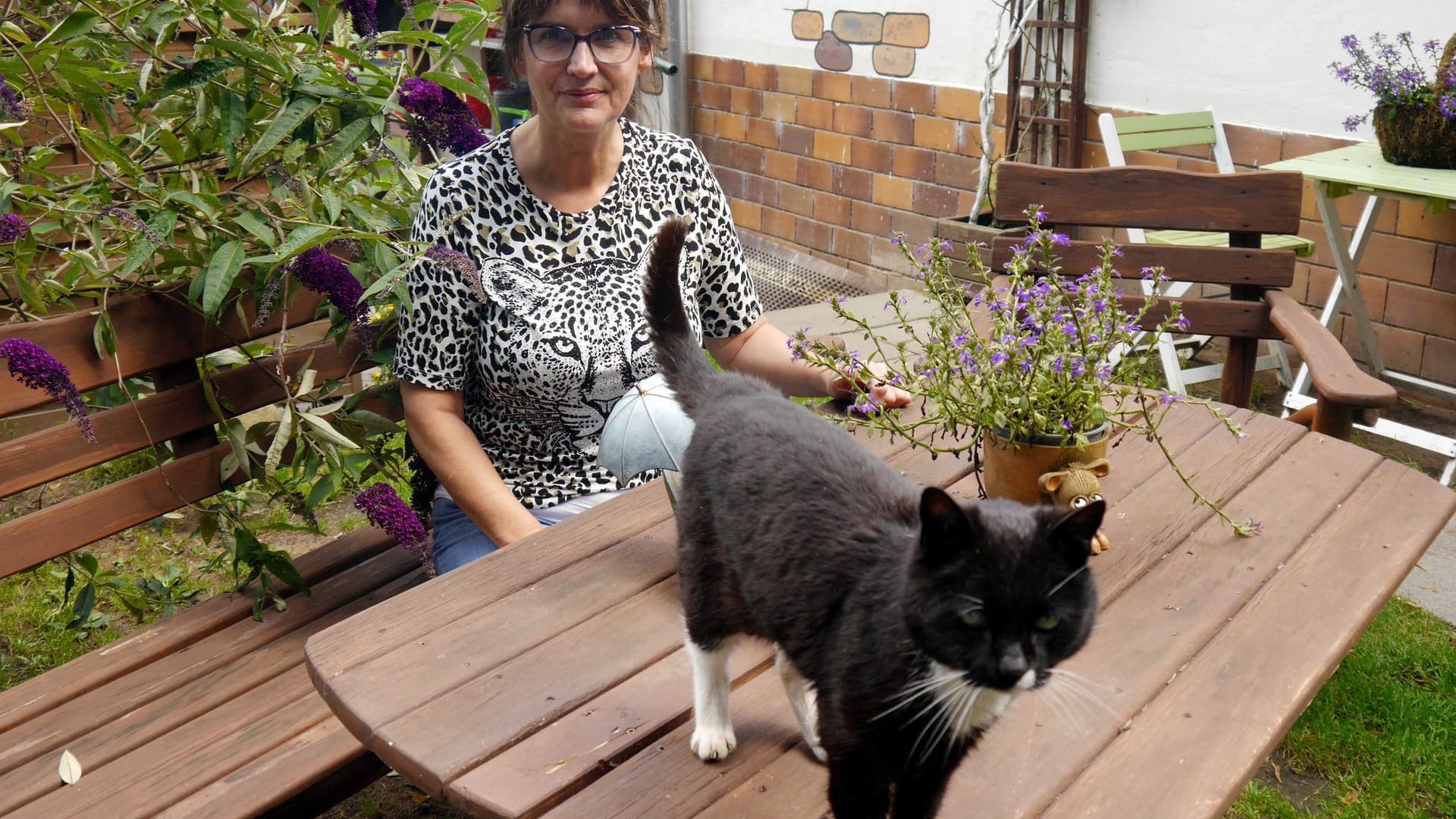 Manuela Jeschke hat das «Katzenparadies» privat gegründet.