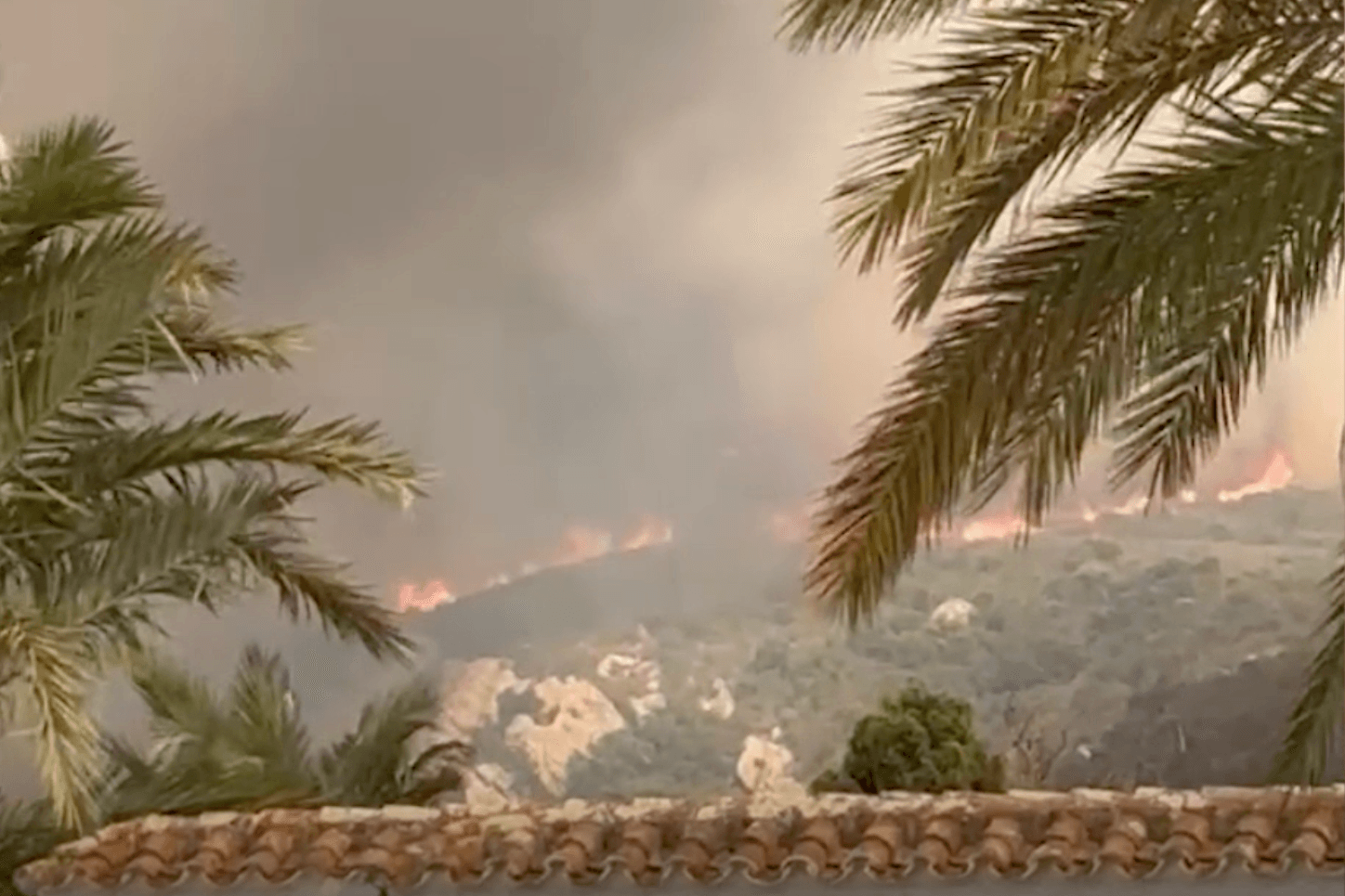 Flammen fressen sich durch die Vegetation nahe Tarifa. Flammen fressen sich durch die Vegetation nahe Tarifa.