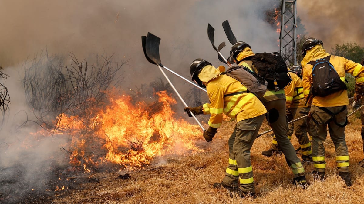 Waldbrände in Spanien: Feuerwehrleute aus Düsseldorf kommen zum Helfen