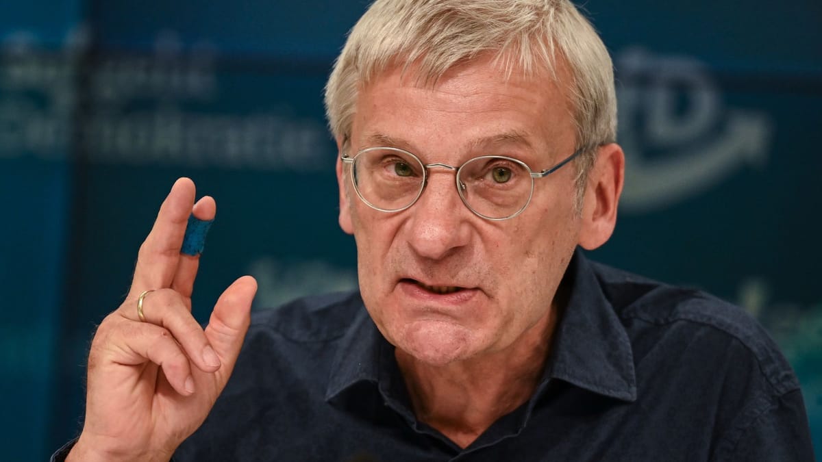 AfD-Fraktionschef: Vermerk als rechtsextrem «pure Willkür»