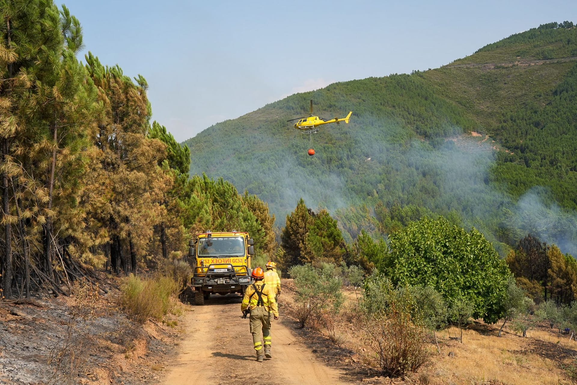 Waldbrände in Spanien