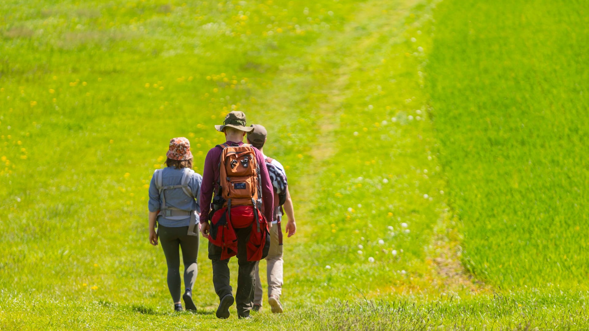 imago images 0469954512 imago images 0469954512