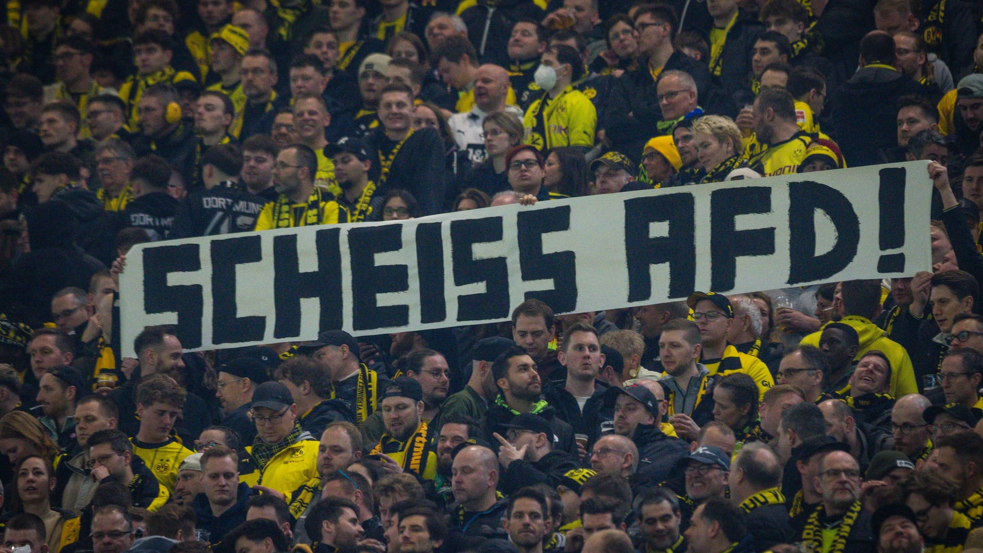 Fans von Borussia Dortmund protestieren gegen die AfD (Archiv): Der Verein hat juristische Schritte gegen die rechtspopulistische Partei eingeleitet.