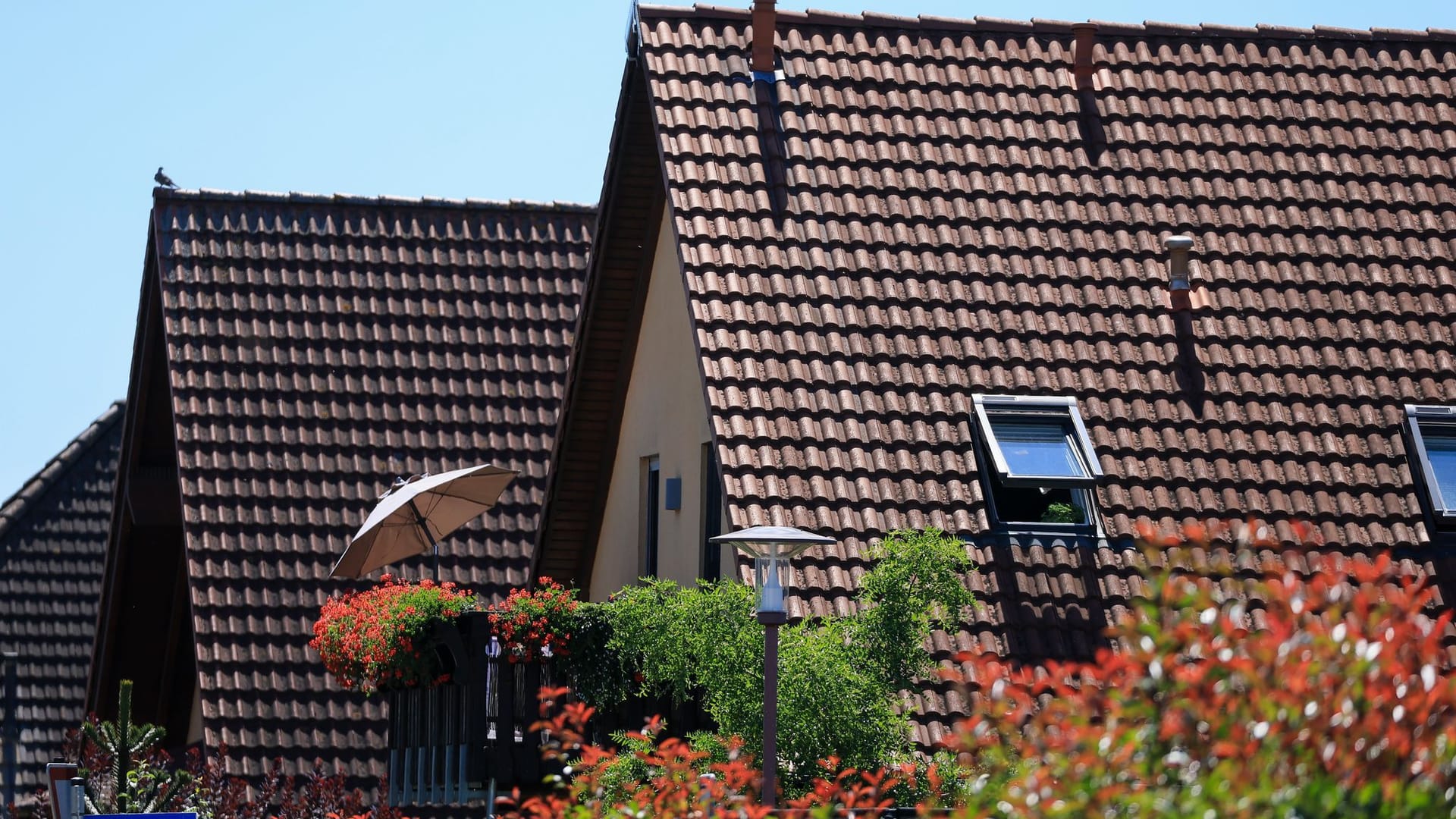 Sommer auf dem Balkon