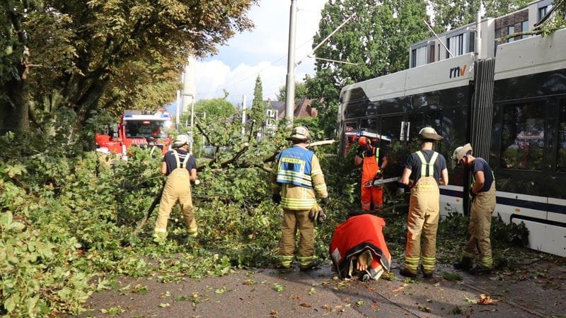 Einsatzkräfte der Feuerwehr entfernen einen Ast von einer Straßenbahn: Vermutlich wegen eines starken Gewitters mit Sturmböen ist ein Baum auf eine fahrende Straßenbahn in Mannheim gestürzt.