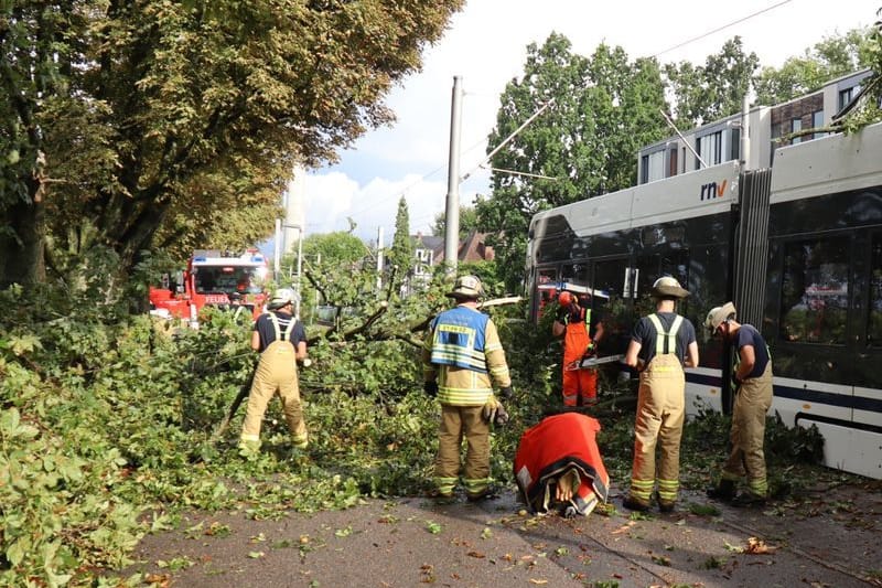 Einsatzkräfte der Feuerwehr entfernen einen Ast von einer Straßenbahn: Vermutlich wegen eines starken Gewitters mit Sturmböen ist ein Baum auf eine fahrende Straßenbahn in Mannheim gestürzt.