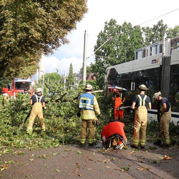 Einsatzkräfte der Feuerwehr entfernen einen Ast von einer Straßenbahn: Vermutlich wegen eines starken Gewitters mit Sturmböen ist ein Baum auf eine fahrende Straßenbahn in Mannheim gestürzt.