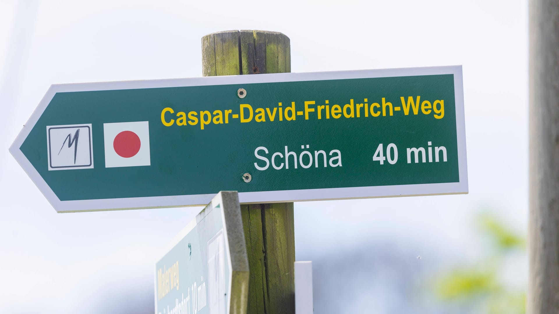 imago images 0469954466 imago images 0469954466