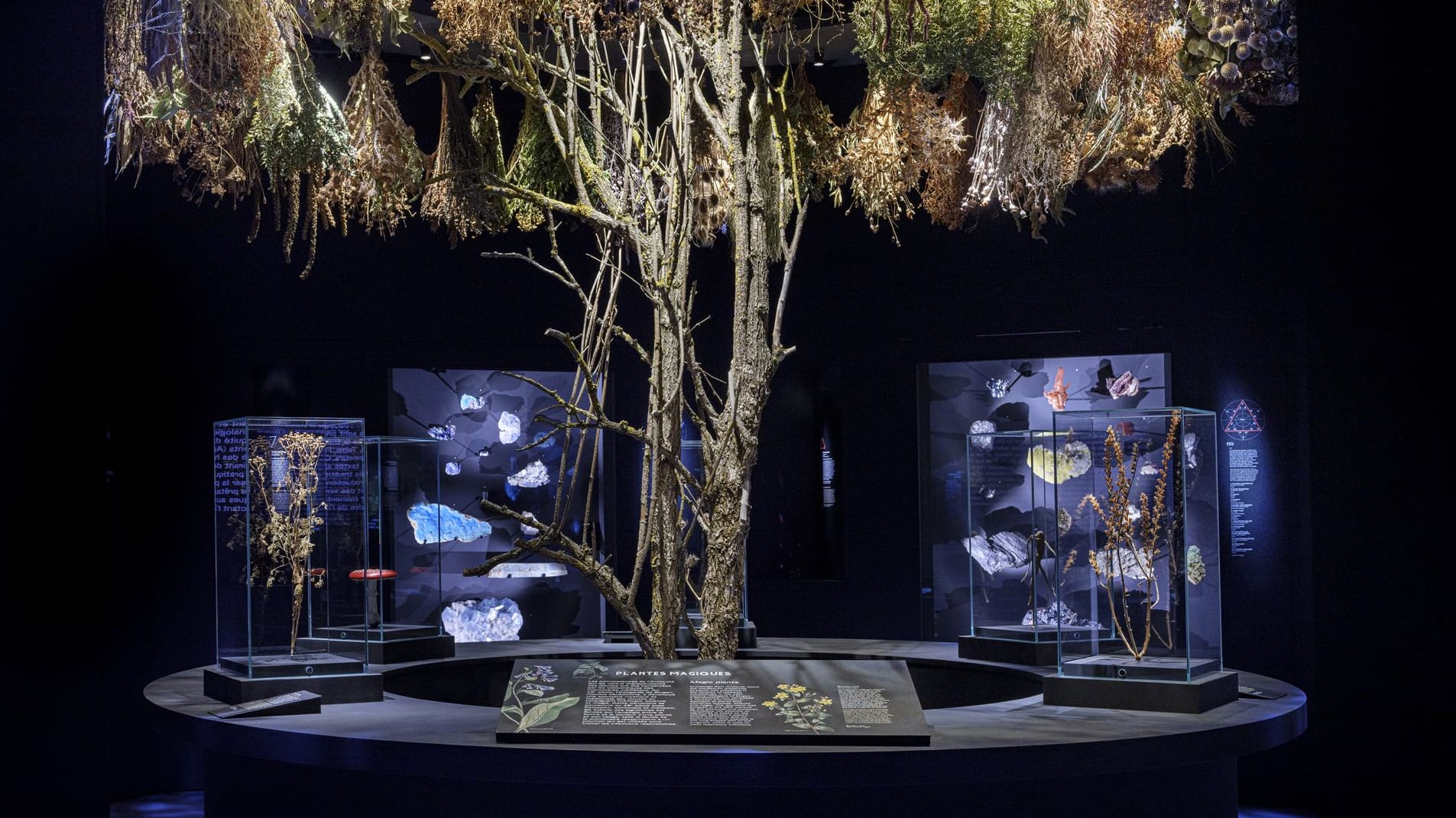 Exponat der Sonderausstellung: Die Ausstellung wurde vom Musée des Confluences (Lyon) und dem Muséum de Toulouse übernommen.